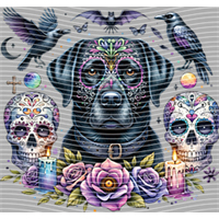 Animal Text Series-AT 247